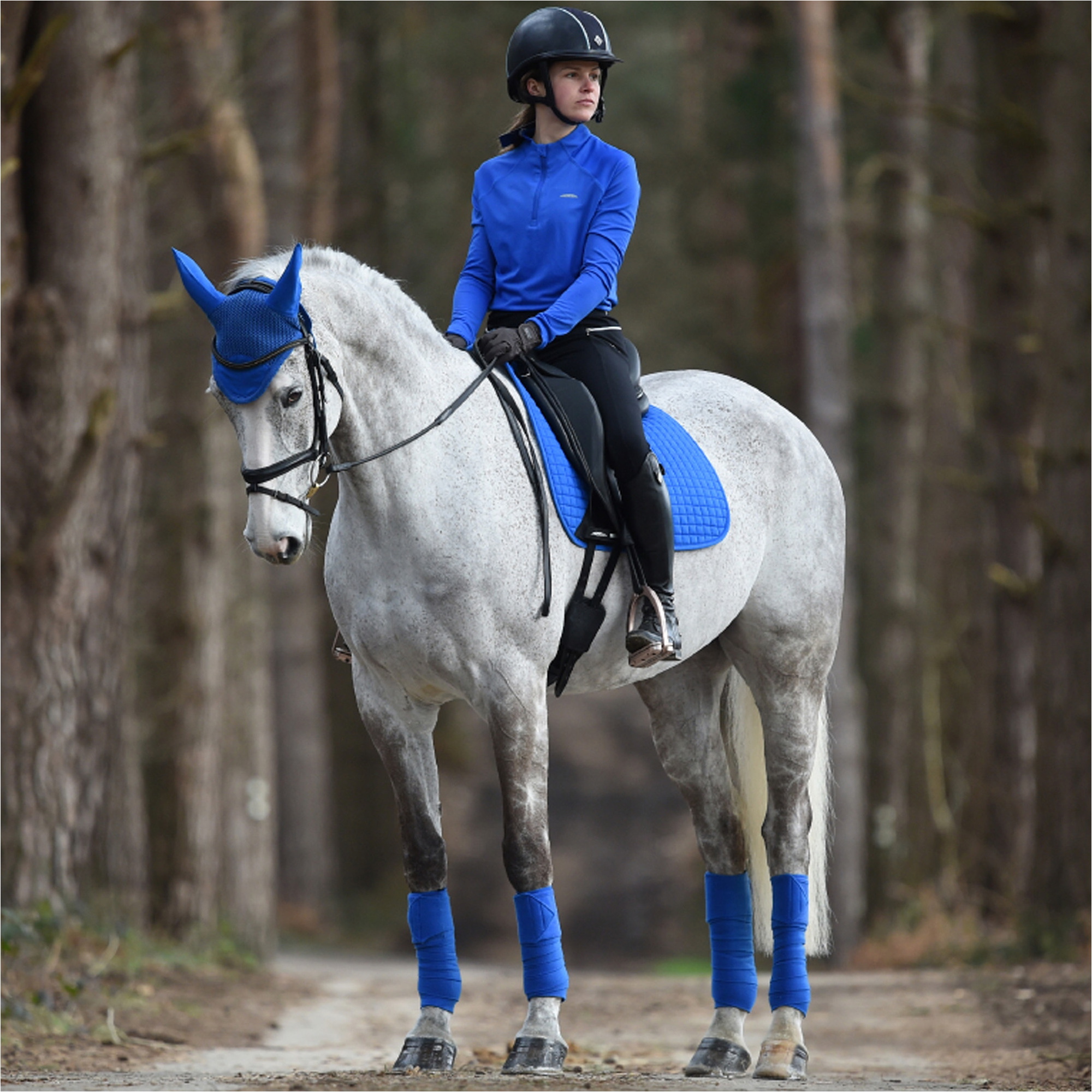 Weatherbeeta Prime Ear Bonnet 1000071 - Royal Blue